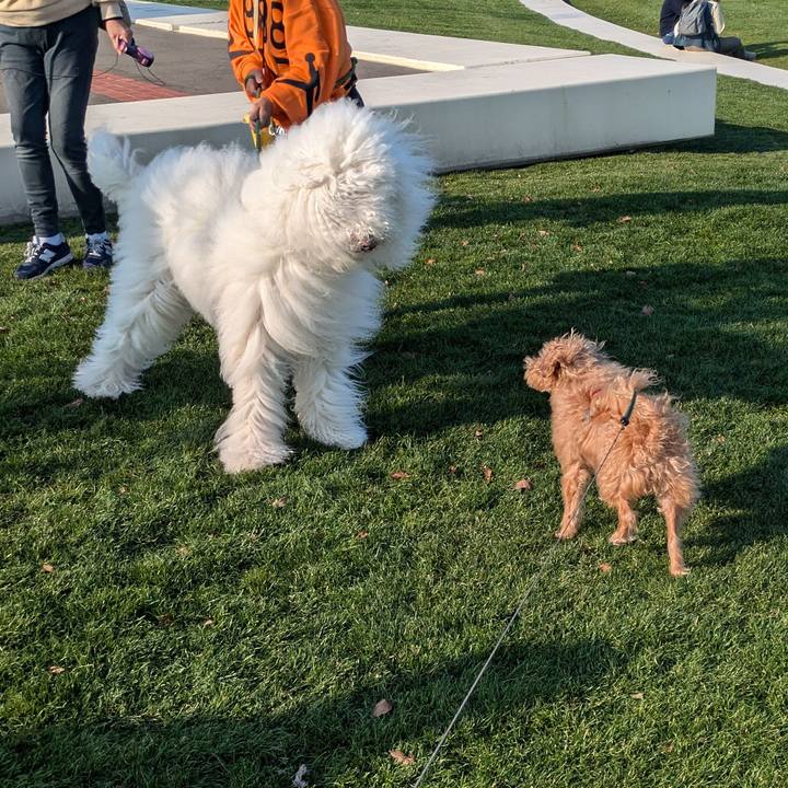 A8d5d518 441a 48d8 8738 56fb59409aa0 1731215279081