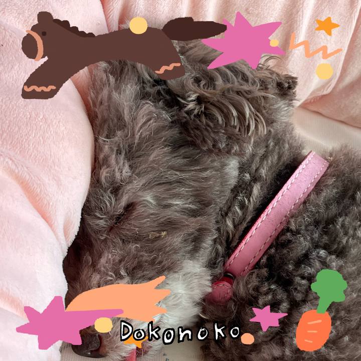 A8d5f06a 8214 478c b7f0 21878aba5c12 1772331942500