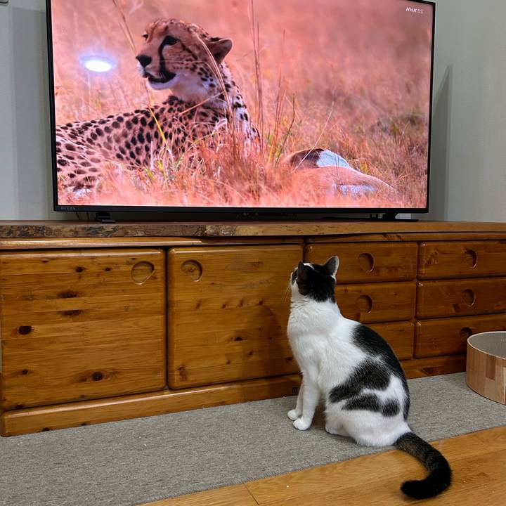 A8d5fb11 3f19 4a7d 89be a6d0837e5f9d 1762171027428