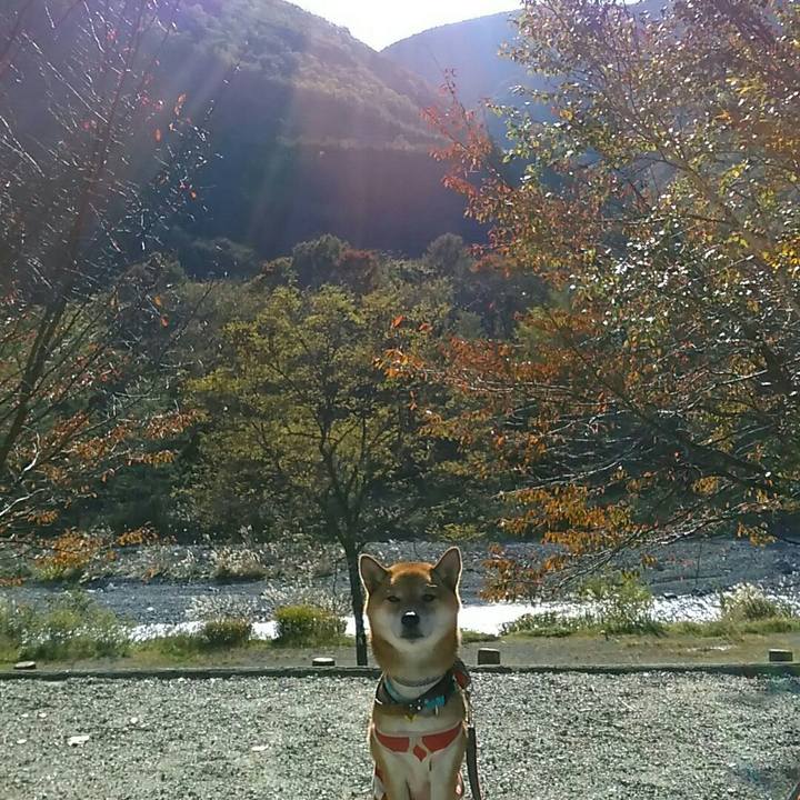 A8d624a3 ac5c 450c a76f e1e9a16abe2a 1540782279471