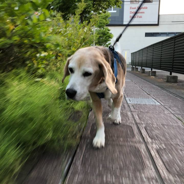 A8d65a99 6fcf 4e0f ac76 c0c35d8efc52 1559735358682