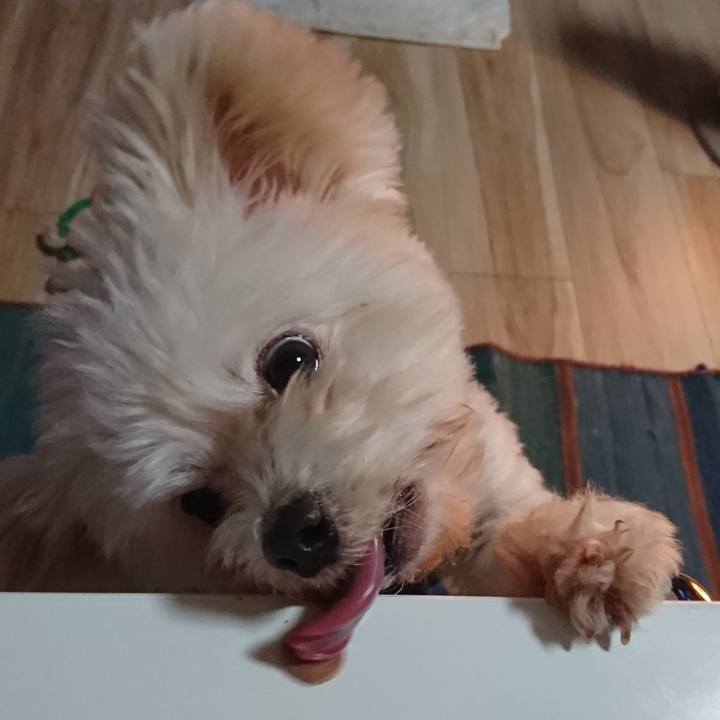 A8d65c8e d945 46c4 9abe 6ff3c372889e 1550162968775