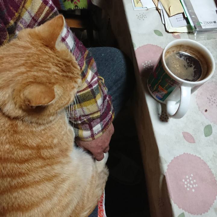 A8d67d1b 767a 4cfa 93b6 48eea27097c7 1584993622750