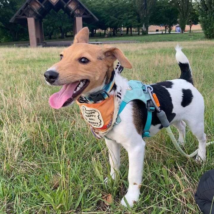 A8d68738 3271 44cc b1c1 914129b65919 1753009638062