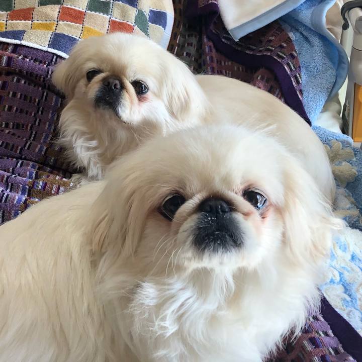 A8d69e71 ef1b 4cbf 9099 e0ea10318516 1548424348617