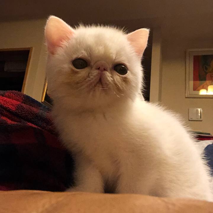 A8d6c3e3 8e84 4b4a 9518 9ec0760ef497 1543744961771