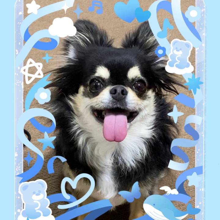 A8d6e815 1d03 47d8 a98c 7ab4ca6b6336 1628290145031