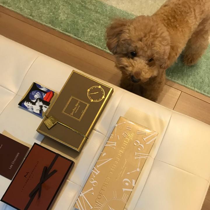 A8d72e47 bccd 41fc 9fbb bef3dcb132b6 1518617323892