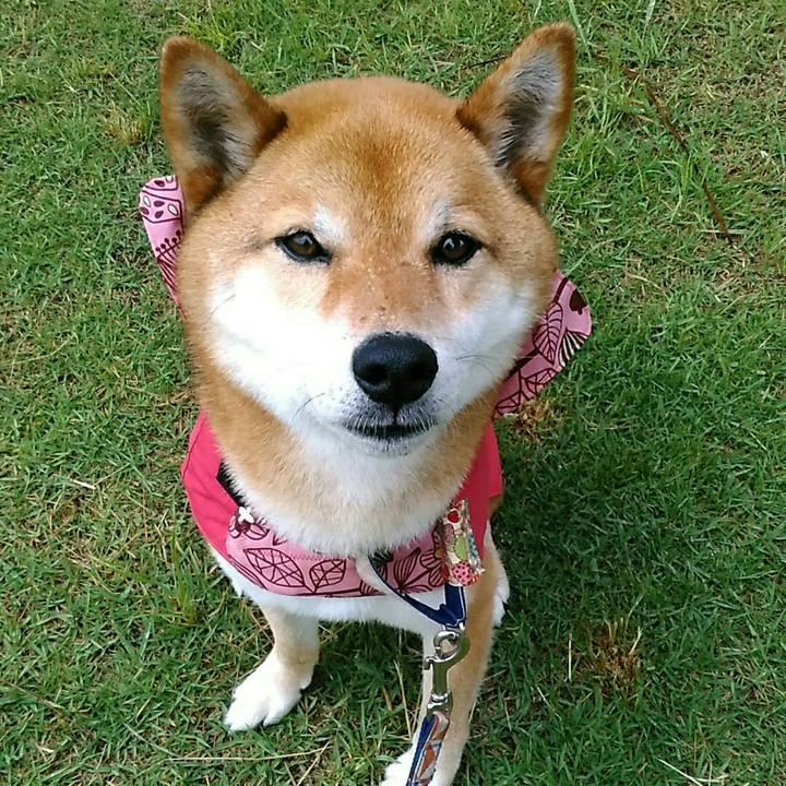 A8d73014 83c1 4e16 bdcf c4fbea846832 1559092683395