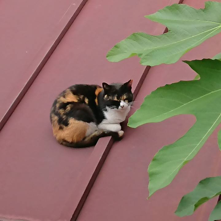 A8d73586 aab4 4d46 bb87 03b8822b73d2 1529195092133