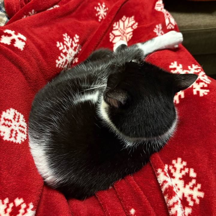 A8d73914 03d6 49b9 bd60 aad19e674a5b 1772971368422