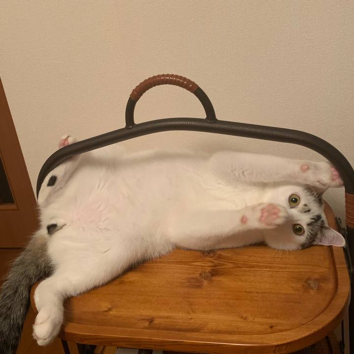 A8d743f1 f4d7 4862 ad55 157c077e547b 1624322190373