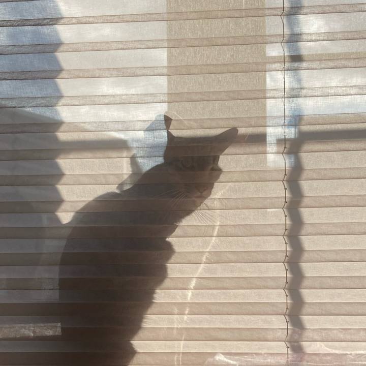 A8d76a38 bc3b 4677 b01d 61857dd55a8b 1608615800931