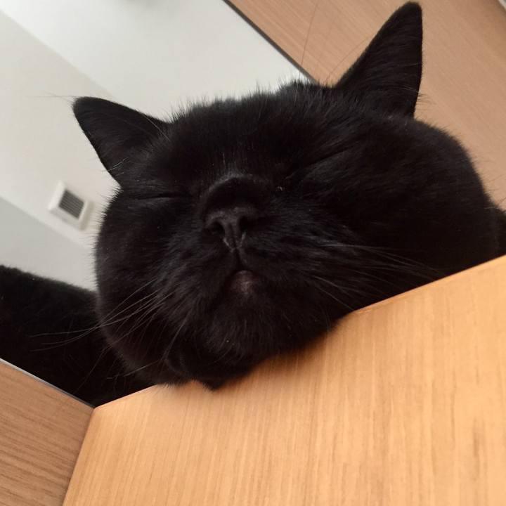 A8d76c6a f770 4f27 a25b 89efab69fdfd 1567807569208