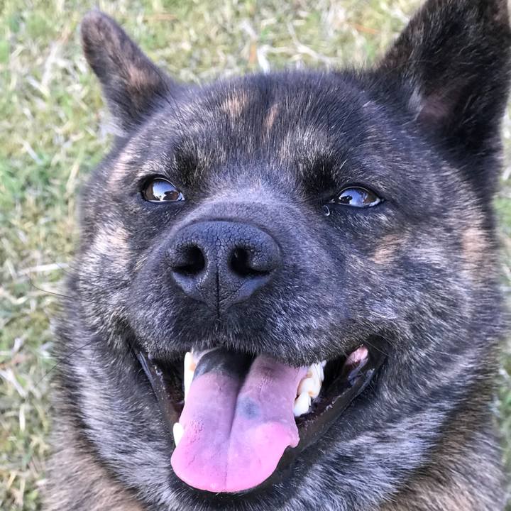 A8d77a87 8854 43af abb9 a5a2f0ff55a3 1523524459179