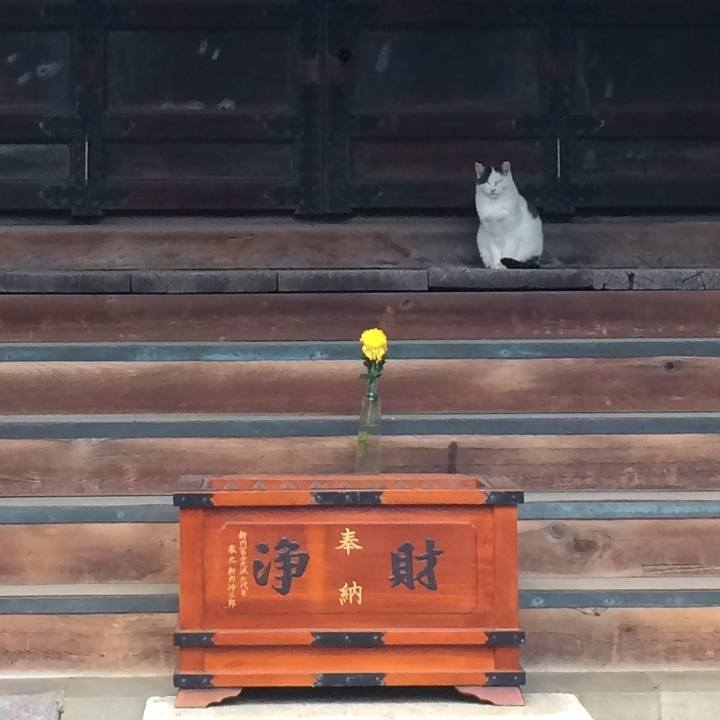 A8d7b2b2 c81d 451c 9807 e23af585d3ec 1510401542581