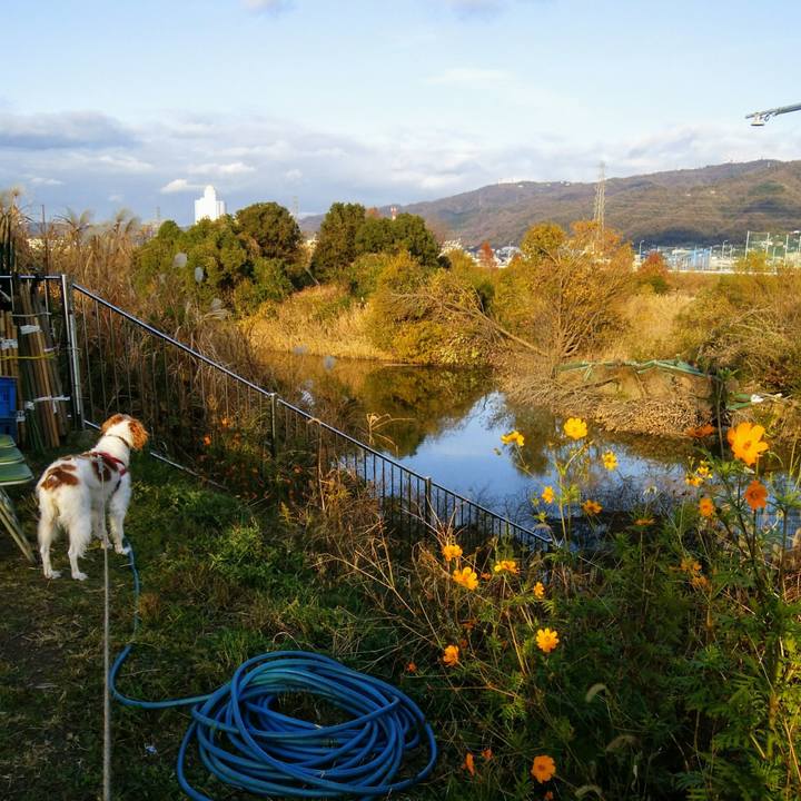 A8d7b43c 2405 483b 8b70 6d6fbe0525a5 1544443838945