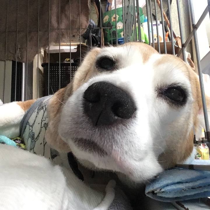 A8d7c93a e9d5 4ea9 8c9c 2316bddbb1c6 1560055298285