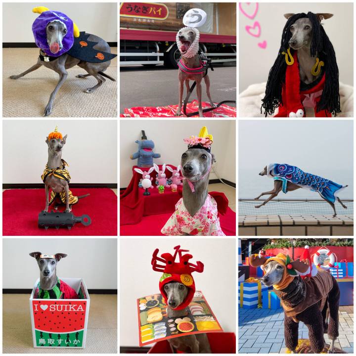 A8d85d8c 6a95 43c2 97f0 0f72f1303ad5 1767155251254