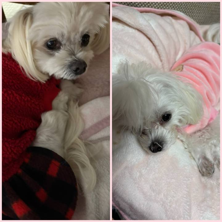 A8d8892c bba7 4e1e b6a4 7567b415a62b 1734516660630