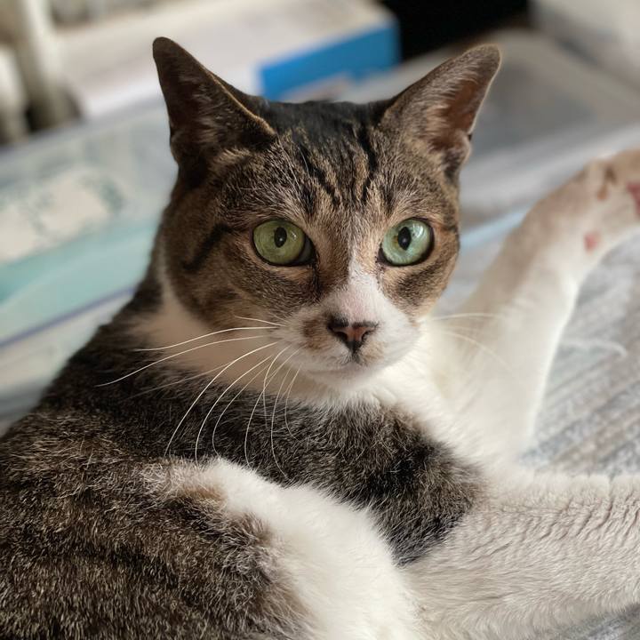 A8d8df8c d74e 4590 9a07 229d07564e99 1655171576181