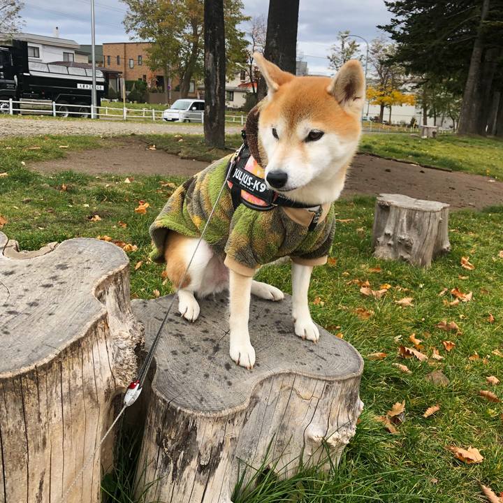 A8d91c9b a0bc 412d 97fd 06c424abbad7 1573088485630