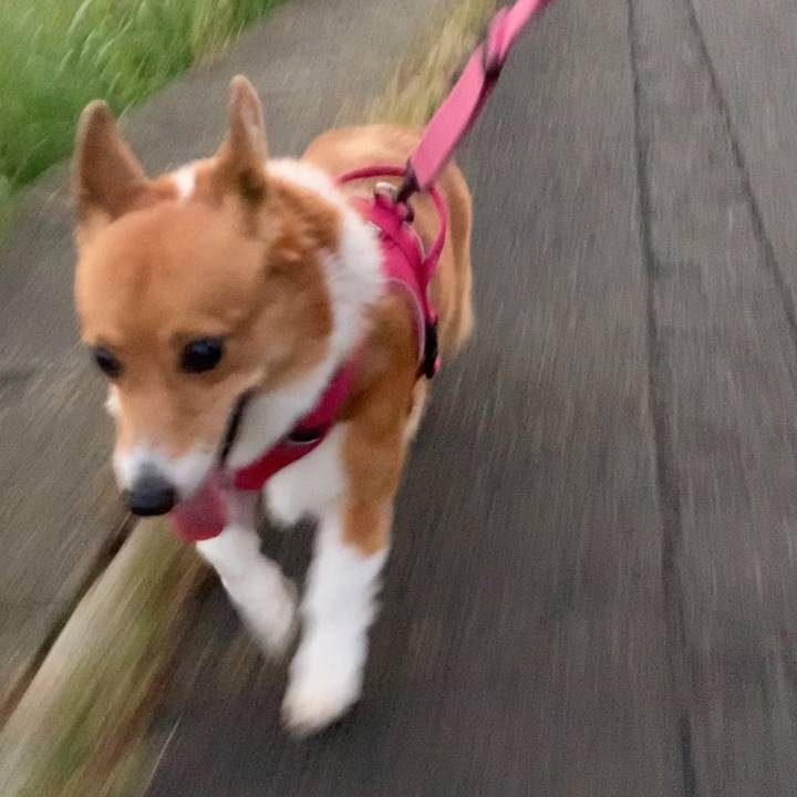 A8d965b8 35f2 4588 9a6a e777258df8c9 1664530959564