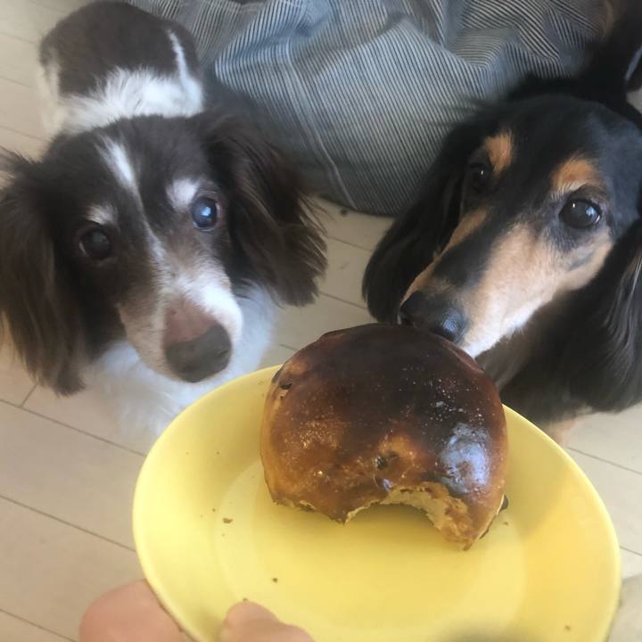 A8d968f8 d645 4514 9f8e d5b66b1251b1 1584673883225