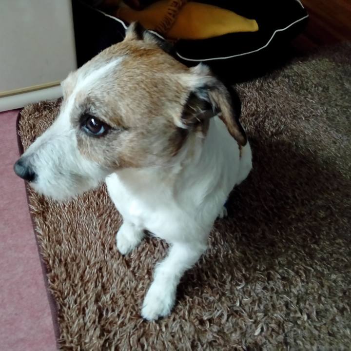 A8d9a200 e204 40b9 b1f9 b4acd54422ad 1523006373251