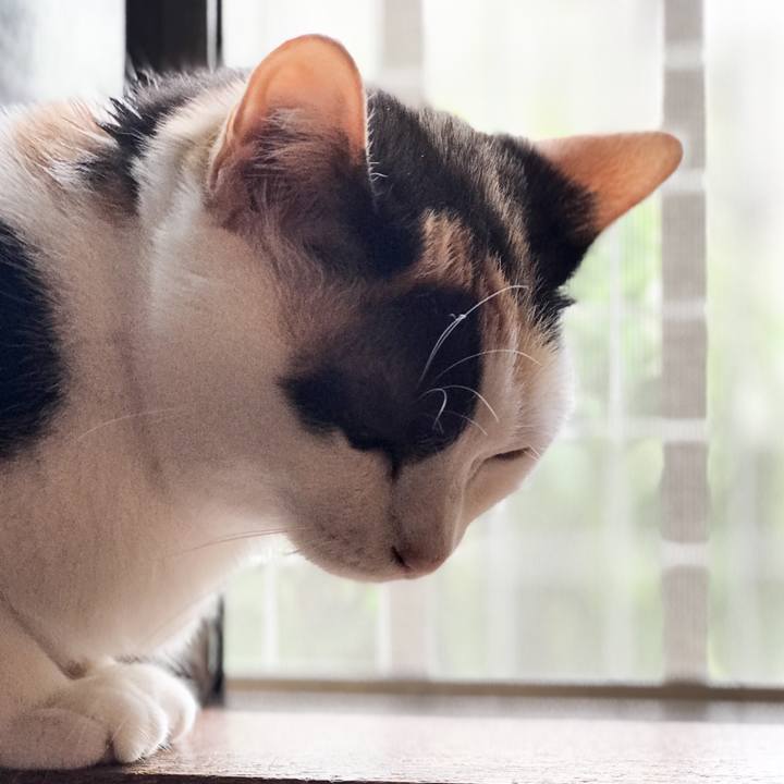 A8d9b834 40bd 4b87 9d48 d3bbd93bc6a6 1528941496160