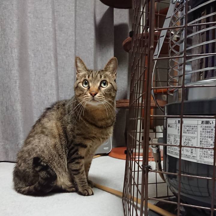 A8d9caa2 e8a7 40b8 af2d 67911368b437 1605027671452