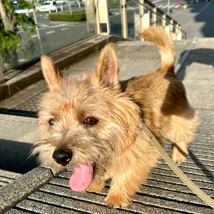 A8d9f5f8 f063 48e3 9ba8 bbfc71a75d76 1714283598781