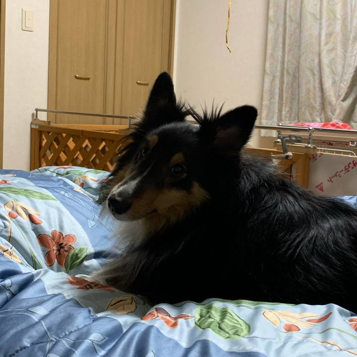 A8da23d9 ba32 4334 b602 206fe0b4ac9b 1582063230891