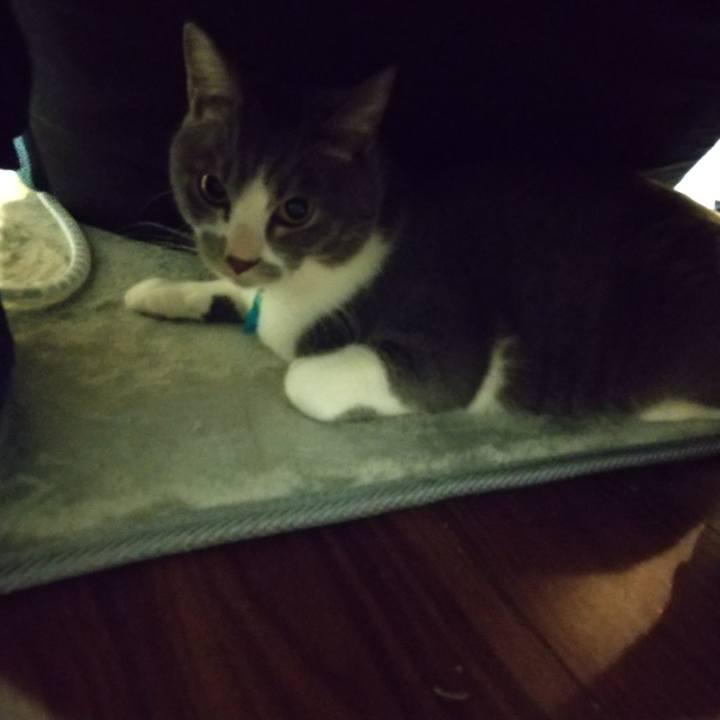 A8da2709 801e 4fa0 82fd abe74f382999 1641998798789