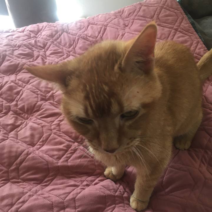 A8da2865 b68d 4720 8c01 1498a05967ca 1653091711863