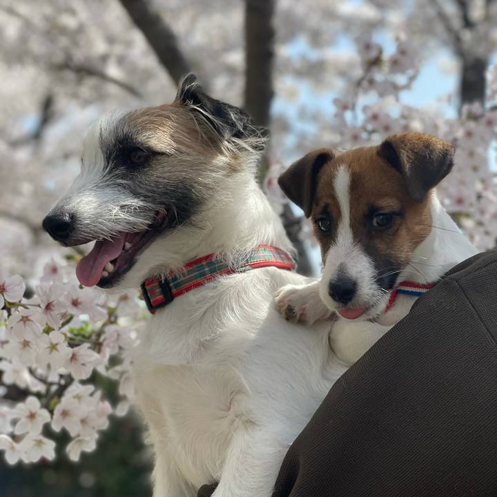 A8da562c dbdf 4104 8ca6 e4b53dff02c0 1617497784853