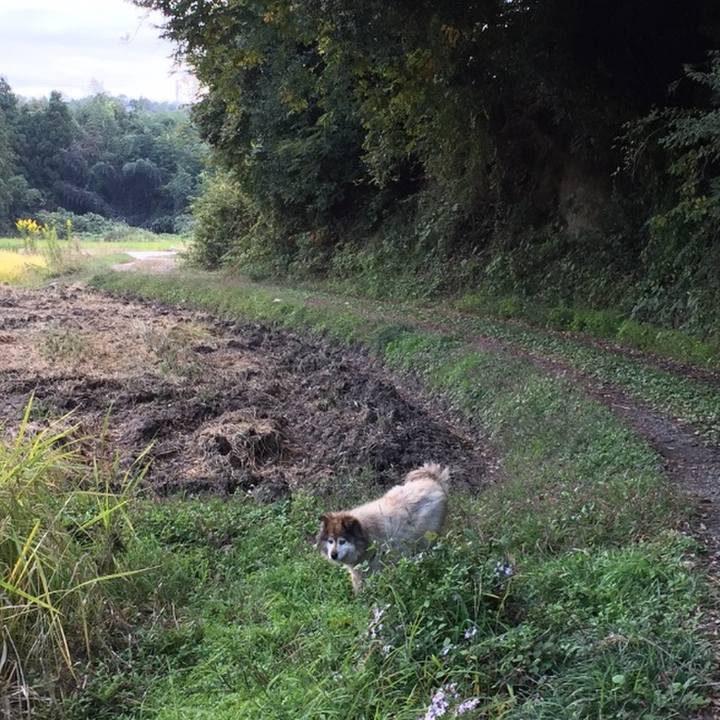 A8daac16 f038 458b 934d da14b34ea0b8 1611881911621