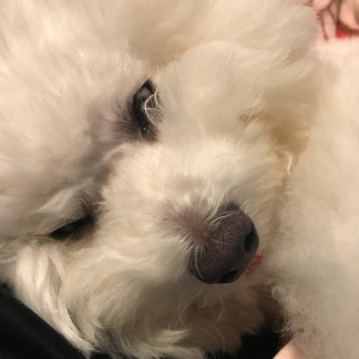 A8dac92b 8d6f 4f83 9ac1 55475680de97 1572421548037