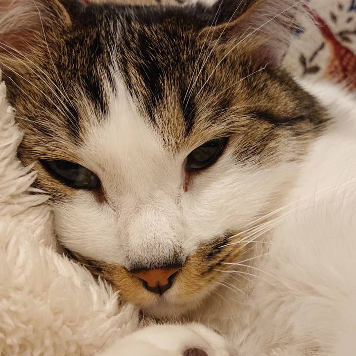 A8db19bb fae0 482e abfe 7174cf9a081f 1704801932172