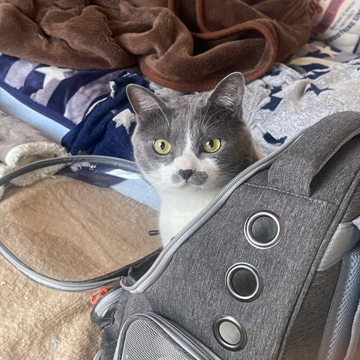 A8db3704 813f 47fd a9ad 66fd0adfe920 1717627571939