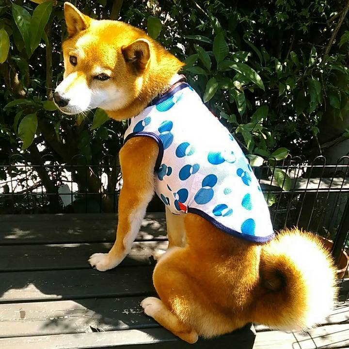 A8db61d2 8451 44b6 a408 c5825ecb604b 1554172490022