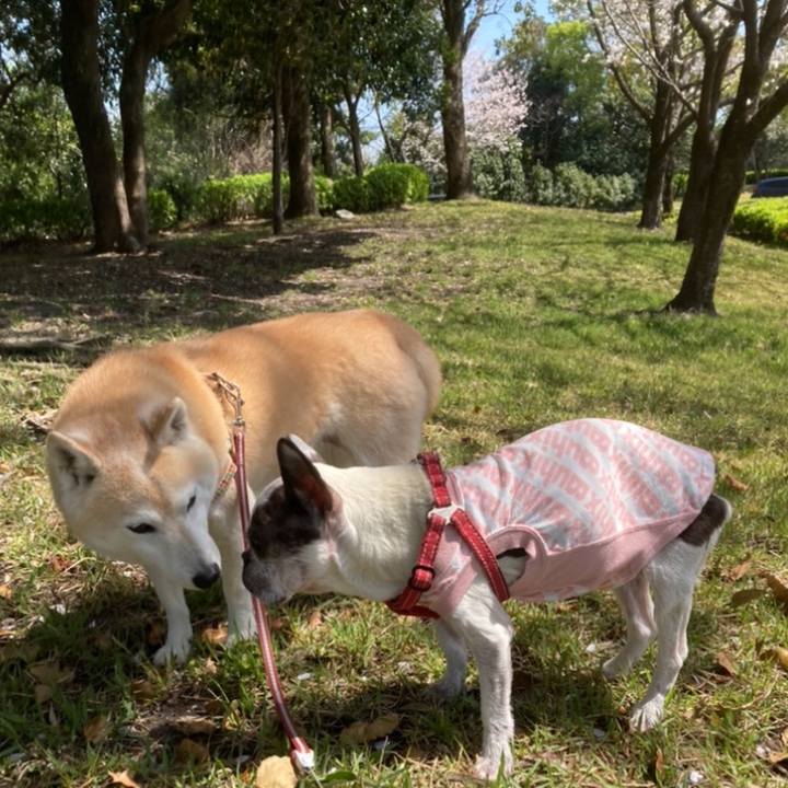 A8db6a99 3754 4348 b580 f593c40fc0f0 1636294833044