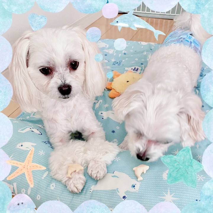 A8dbb066 7a6c 40e9 8fcc 221325a7055a 1628063989432