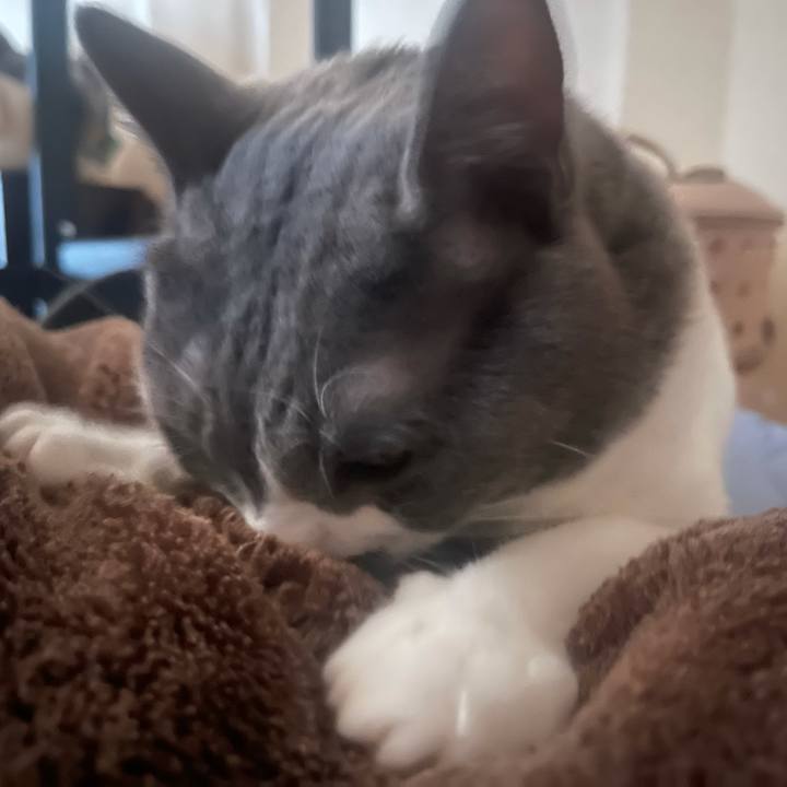 A8dbcb39 23b5 4165 9fc7 ba50d32552ff 1628725259110