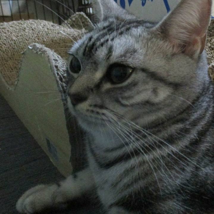 A8dbdb55 0c61 4afd 870b e2a767a9994f 1565681903415