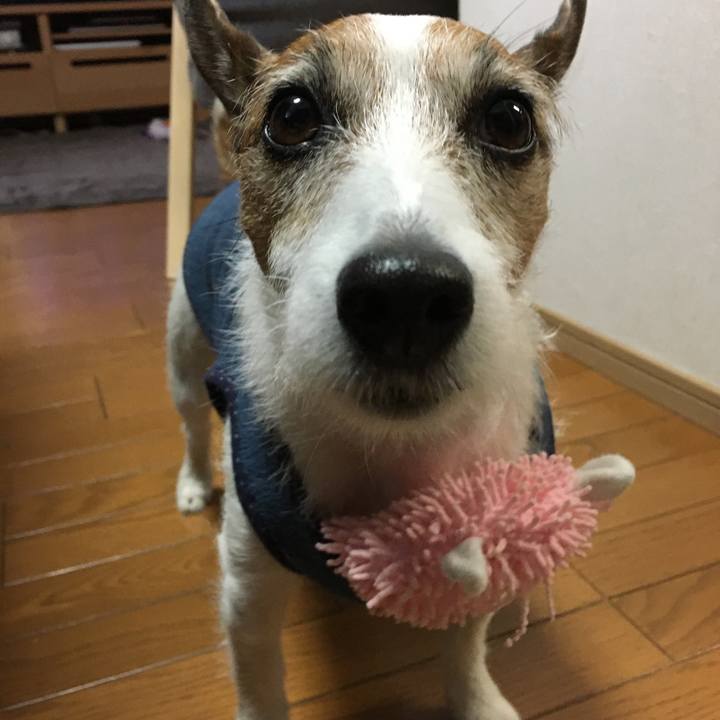 A8dc0e17 8ea1 4c7f 8c17 ec156cfa2424 1579821821264