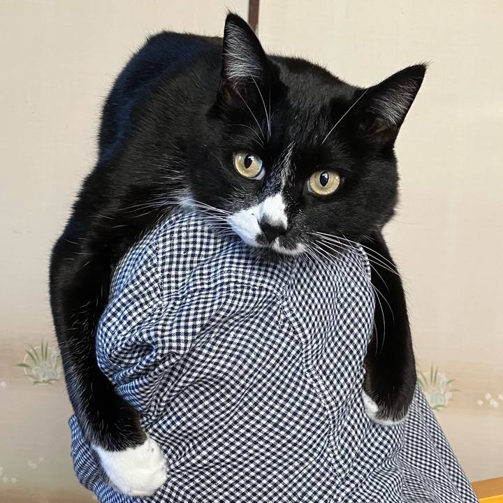 A8dc1628 3719 46d4 915d 260451f38c5e 1736136458167