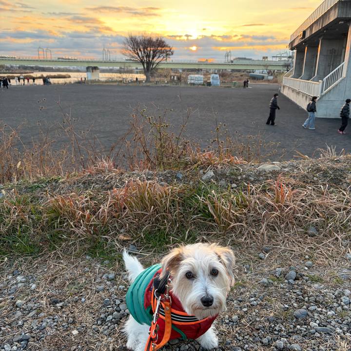 A8dc2e50 119c 4cc0 aac0 61fb27d45c94 1767219494681