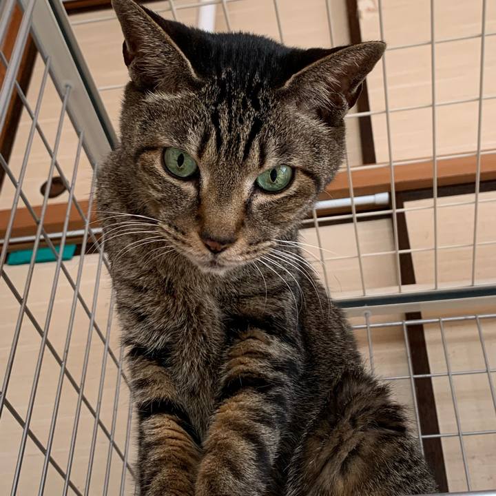 A8dc7528 32aa 4a18 ae65 7c52a3d31eaa 1584408306507