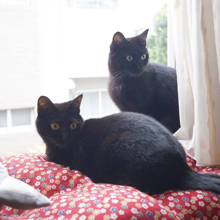 A8dc9031 b071 4d9b 9cb8 8cdbfb6adcd2 1600991441253